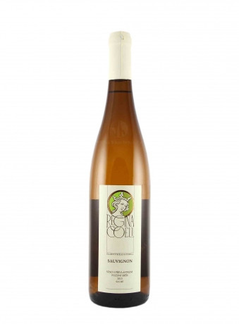 Sauvignon - staré hory - kabinetní suché 11,5% - regina Coeli - 0,75L
