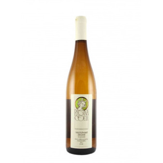 Vetlínské zelené - moravské zemské 12,5% - Regina Coeli - 0,75L