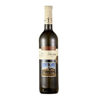 Sauvignon Selection - pozdní sběr - bílé polosuché - vinařství u Kapličky 0.75 l