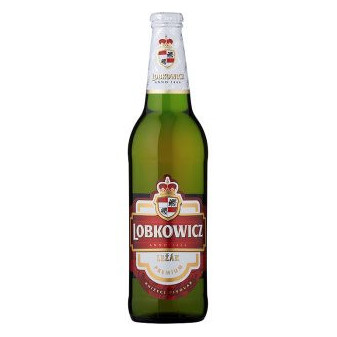 Premium světlý ležák - Protivín - 20 x 0.5L