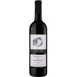 Frankovka - červené přívlastkové - PS - vinařství Pavlovín 13,0% - 0.75L