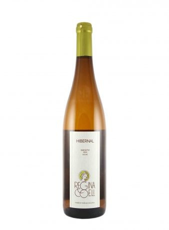 Hibernal - kabinetní víno - bílé suché - Regina Coeli- 0.75L