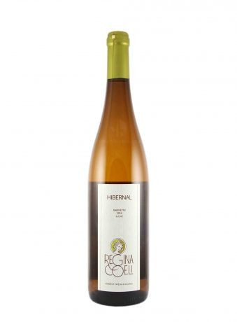 Hibernal - kabinetní víno - bílé suché 11,0% - Regina Coeli- 0.75L