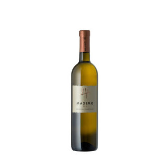 Maximo Oro - Graševina / Chardonnay - bílé suché víno - 13,5% - Kutjevo - chorvatské víno - 0.75L